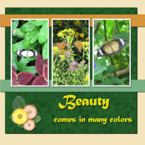 beauty-comes-in-many-colors_600