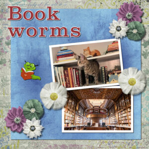 bookwormstpl-6-600