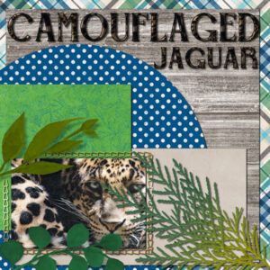 camouflaged-jaguar-templates-day3_600