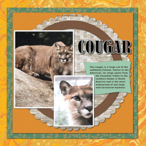 cougar-day2_600