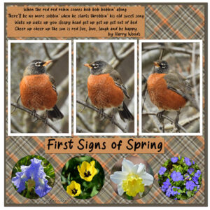 first-signs-of-spring-sm
