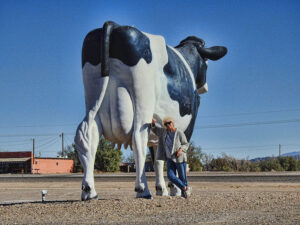 giant-cow-and-toni-sm