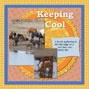 keeping-cool-600