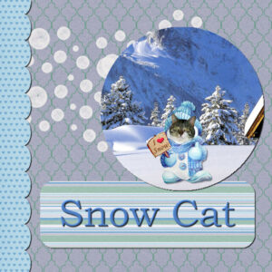 snowcat-tpl1-600