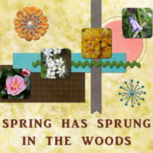 spring-has-sprung-in-the-woods-template-5-600-x-600