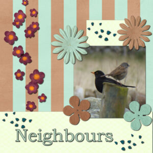 1-neighbours-600-2