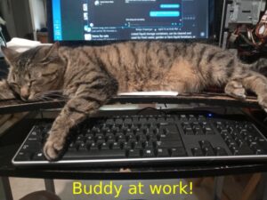 buddy-at-work