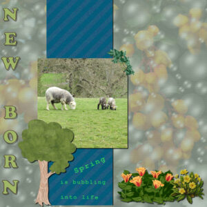 new-born-a