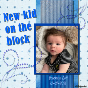 new-kid-on-the-block