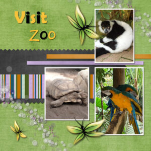 project-4-zoo