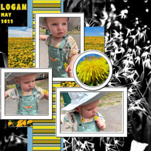 logan-with-dandelions_600