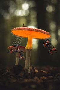 mushroom-swing-sm