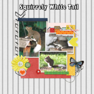 qp-day-3-squirrely-white-tail-600