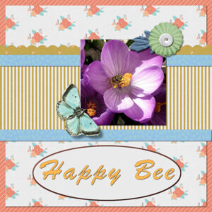 qp-extra1-happy-bee-rs