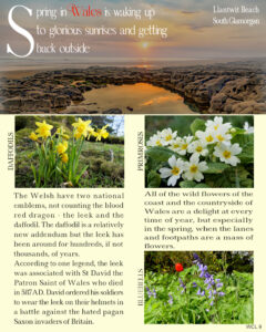 day-7-springtime-in-wales-2
