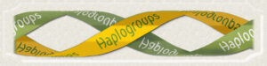 button-haplogroups-hover-2