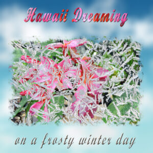 hawaii-dreaming-on-a-frosty-winter-day-pspimage-bl-6