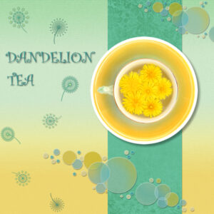 day-3-project-1-dandelion-tea-600