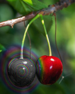 cherries-hue-experiment_forum