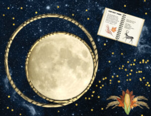 2022-09-09-harvest-moon-1-e