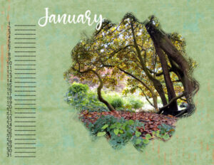 calendar-jan-2023