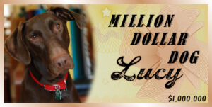 million-dollar-dog-sm-2