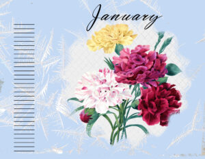 my-january-calendar-01-2023-w-background-carnations-2