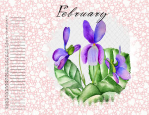 my-february-calendar-2