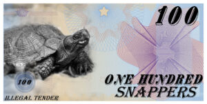 snapper-moneybill-02_forum