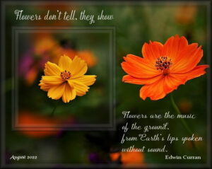 flower-quote-2