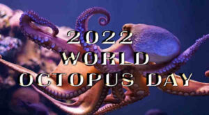 world-octopus-day-10-08-22_forum