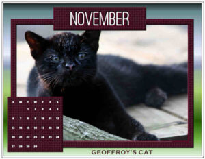 november-2022-big-cat-calendar_600