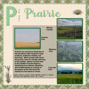 p-is-for-prairie_600