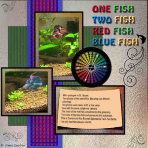 red-fish-blue-fish_600-2