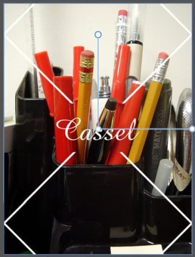 When prompted, the watermark will be selected, and will appear on top of the image