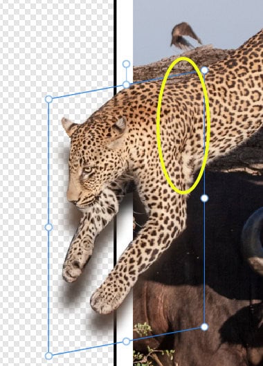 Erase the shadow where it extends in the wrong direction.