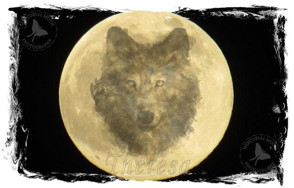 Wolf Moon -17th January 2022